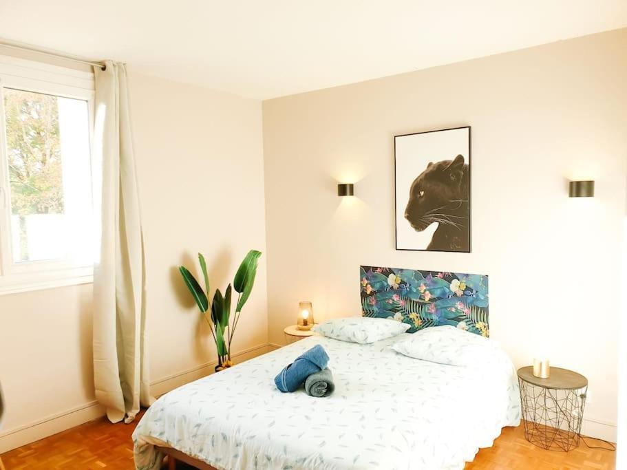 Cosy Mure 4Ch - Stationnement Gratuit Pau Exterior photo